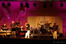Gala - Ewa Konarzewska & Blues Felllows (24)