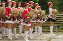 Parada Dixie (83)